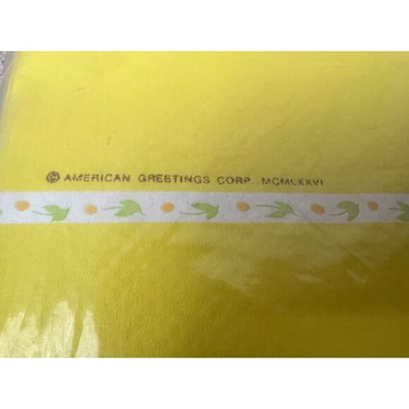 Vtg 70s Holly‎ Hobbie American Greetings Paper Tablecloth Table Cover 54x96 NOS - Picture 3 of 6